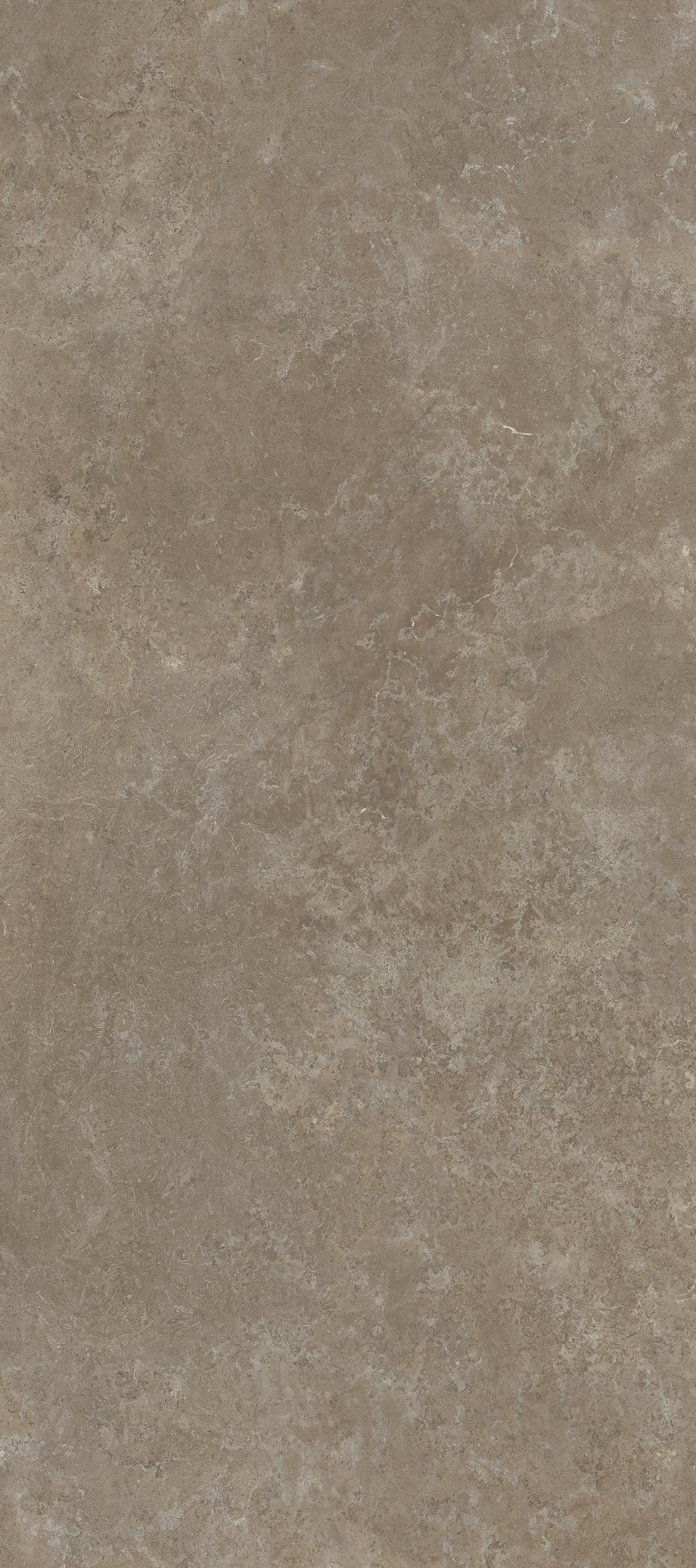 Creos Taupe - Matt Creos Taupe - Matt